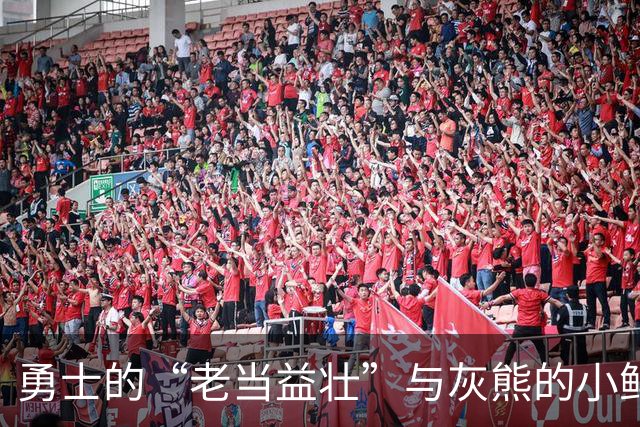 勇士的“老当益壮”与灰熊的小鲜肉：一个经验的悲剧！